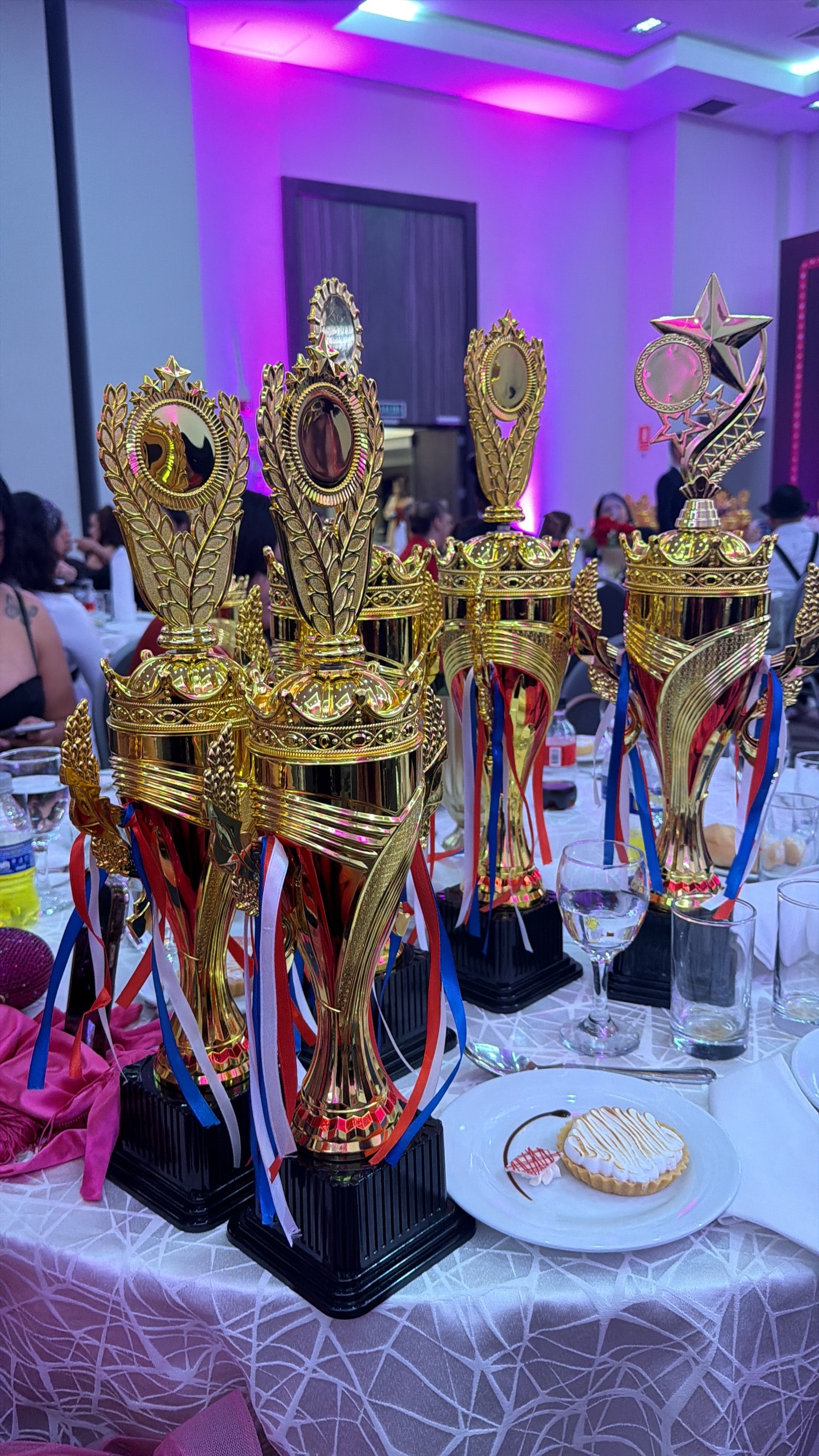 Las cinco copas doradas de MR Academy — Copa América PMU 2026