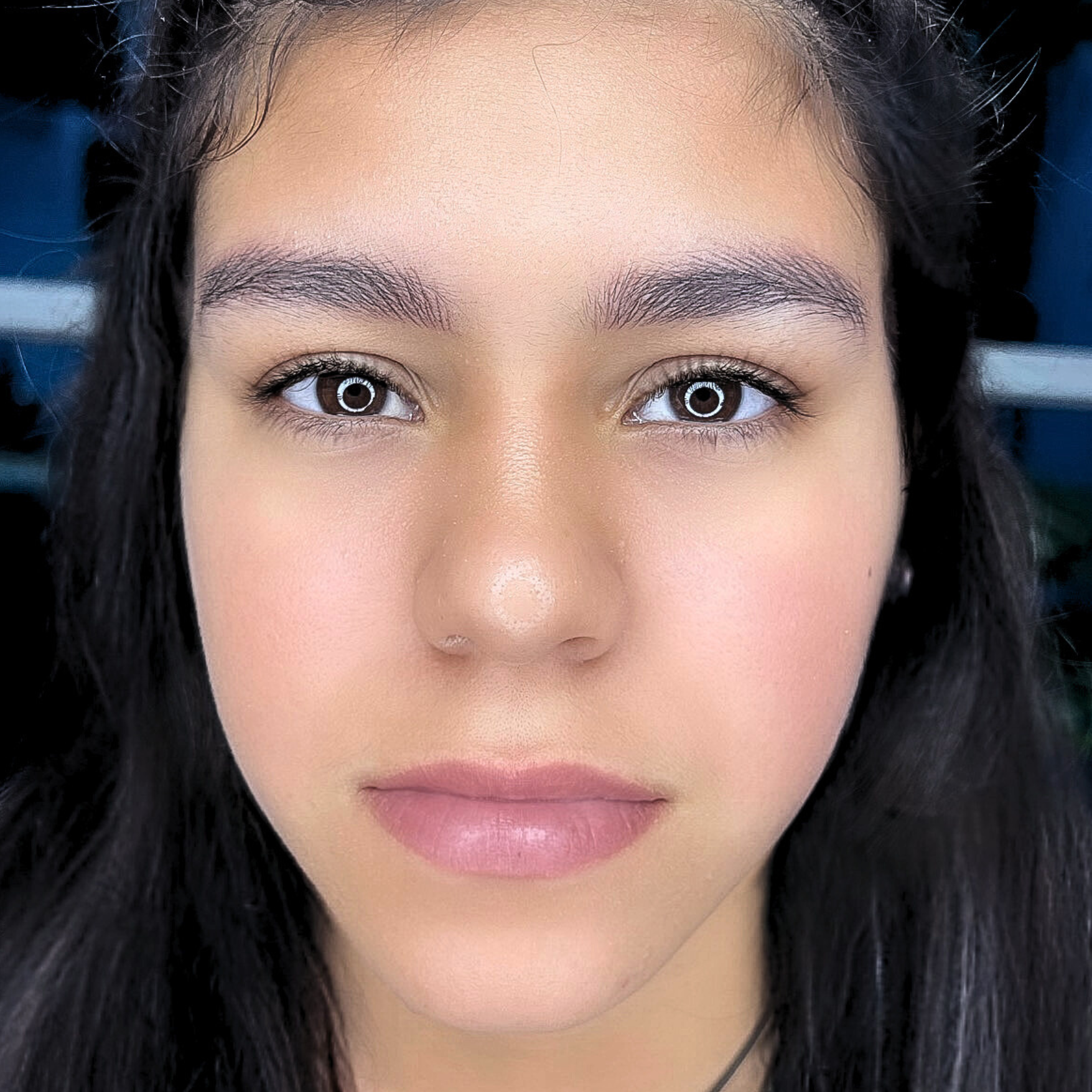 Cejas Micropigmentadas — Clienta