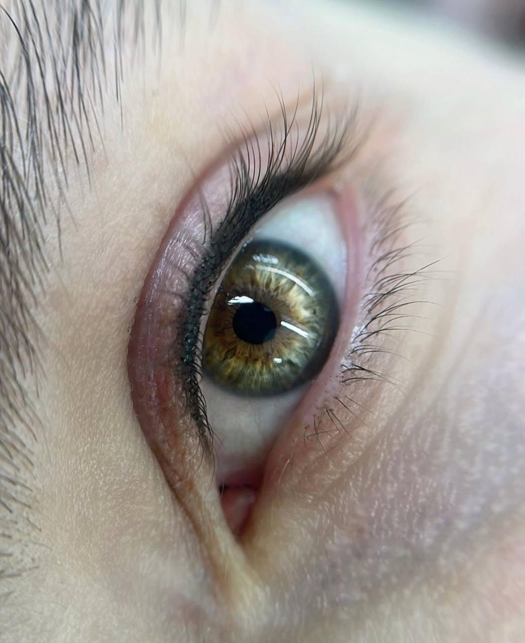 Delineado — Ojos Avellana
