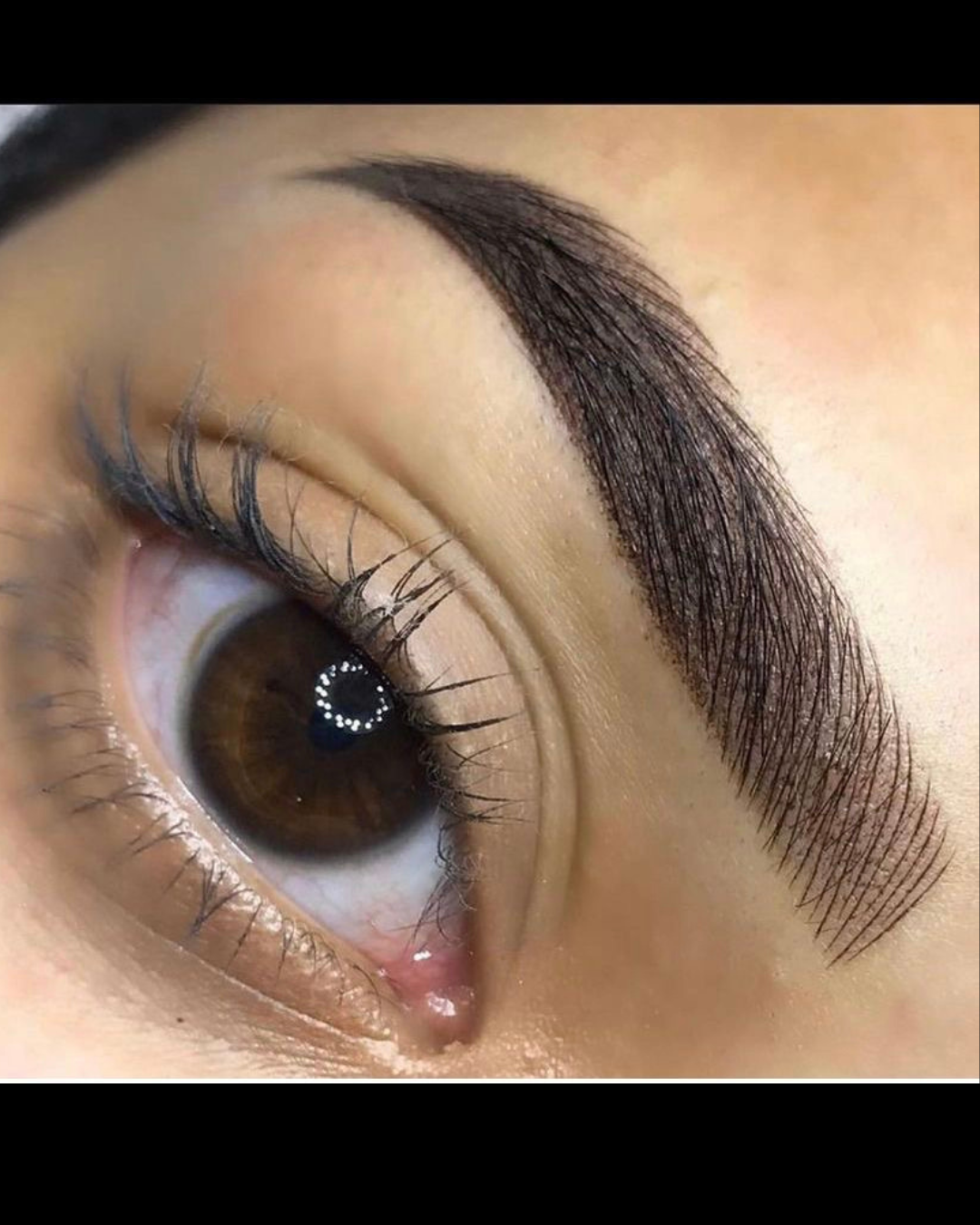 Cejas Híbridas